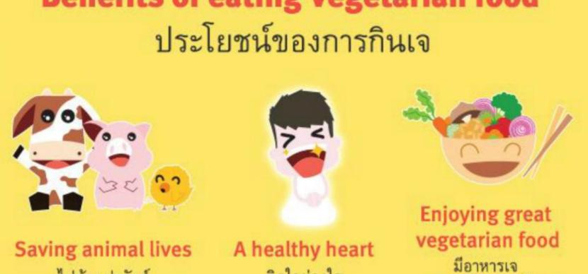 เรียนภาษาอังกฤษ กินเจ